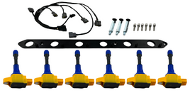 Wire Harness Ignition Coil Conversion Kit FITS Skyline R33 GTR RB26DETT RB26 R35