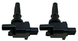 2 Ignition Coil Packs for 1999-2006 Santa Fe Sonata Magentis Optima 2.4L 2.4 I4